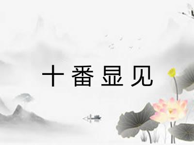 十番显见 十番显见