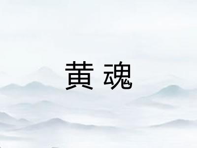 黄魂