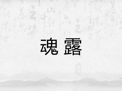 魂露 魂露