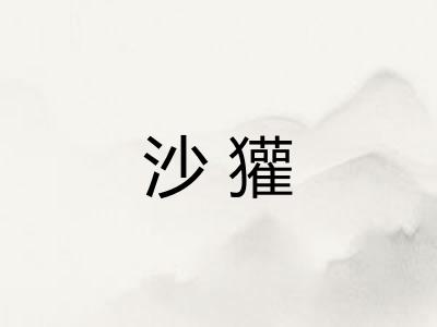 沙獾 沙獾