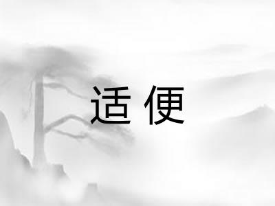 适便 适便