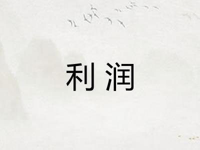 利润 利润