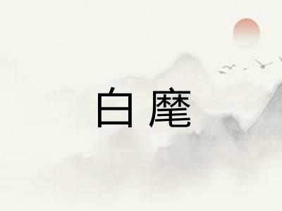 白麾