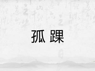 孤踝