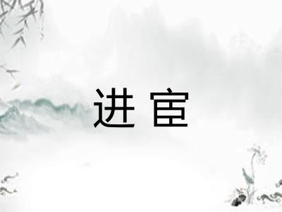 进宦 进宦