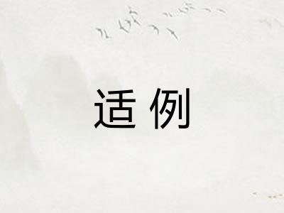 适例