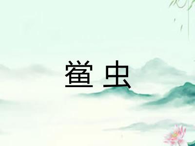 鲎虫 鲎虫