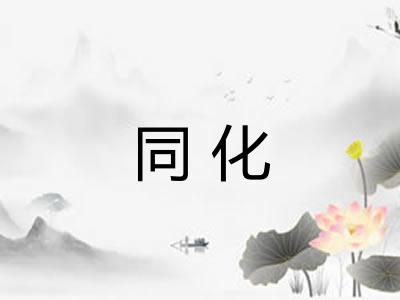 同化 同化