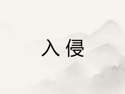 入侵