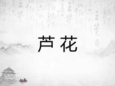 芦花 芦花