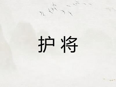 护将