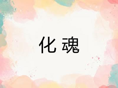 化魂 化魂