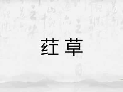 荭草