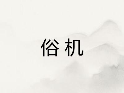 俗机