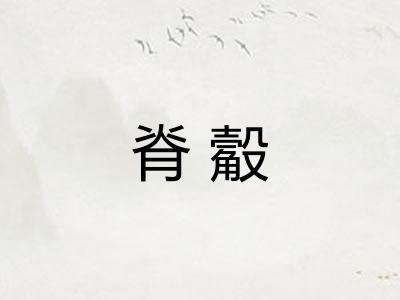 脊觳 脊觳