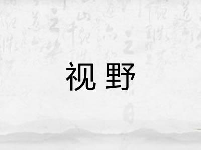 视野