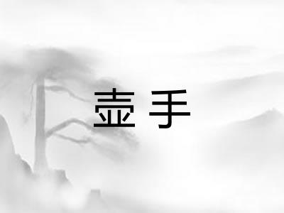 壶手