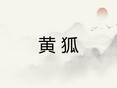 黄狐