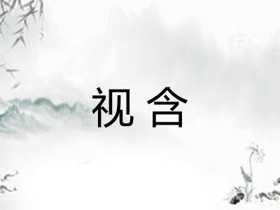 视含