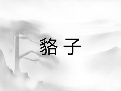 貉子 貉子