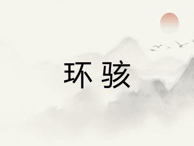 环骇