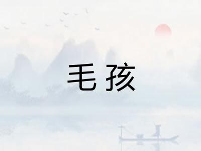 毛孩 毛孩