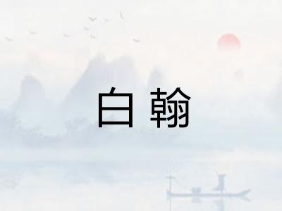 白翰 白翰