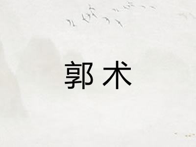 郭术 郭术