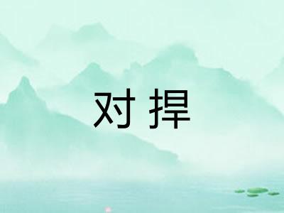 对捍