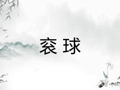 衮球