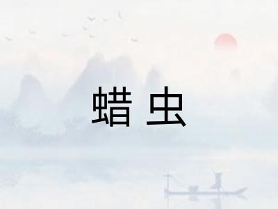 蜡虫
