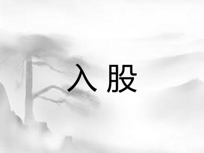 入股