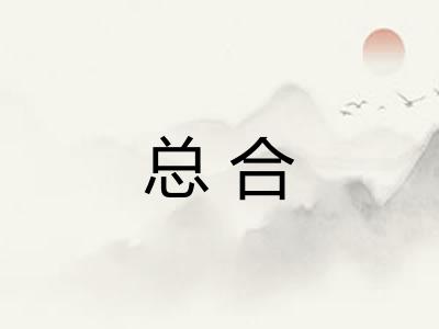 总合 总合