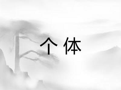 个体