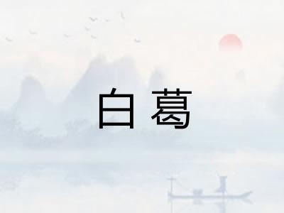 白葛 白葛