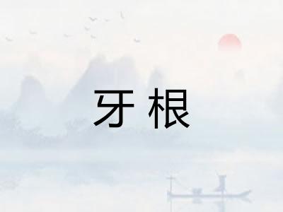 牙根 牙根