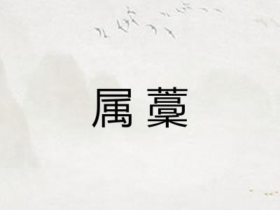 属藳