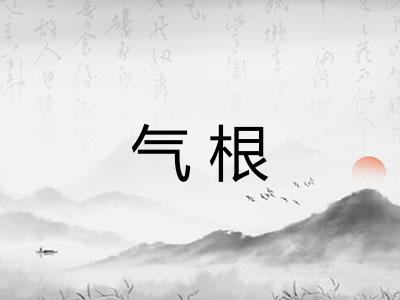 气根