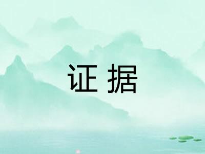 证据 证据