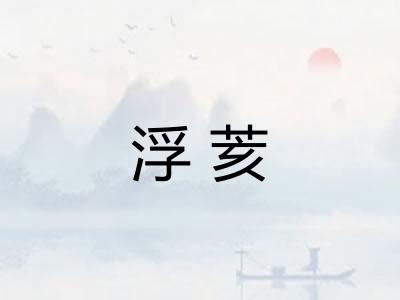 浮荄