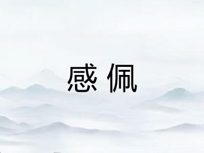感佩 感佩