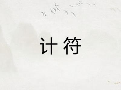计符
