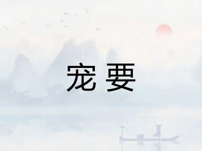 宠要