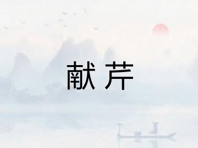 献芹