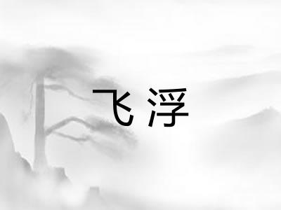 飞浮