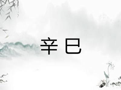 辛巳