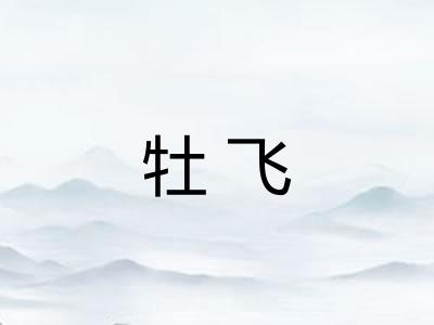 牡飞