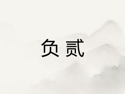 负贰 负贰