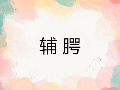 辅腭