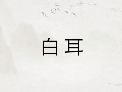 白耳 白耳